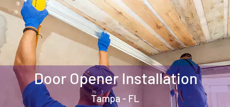 Door Opener Installation Tampa - FL